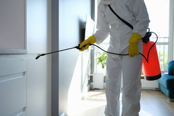Best Mold Inspection  in Becker, MN